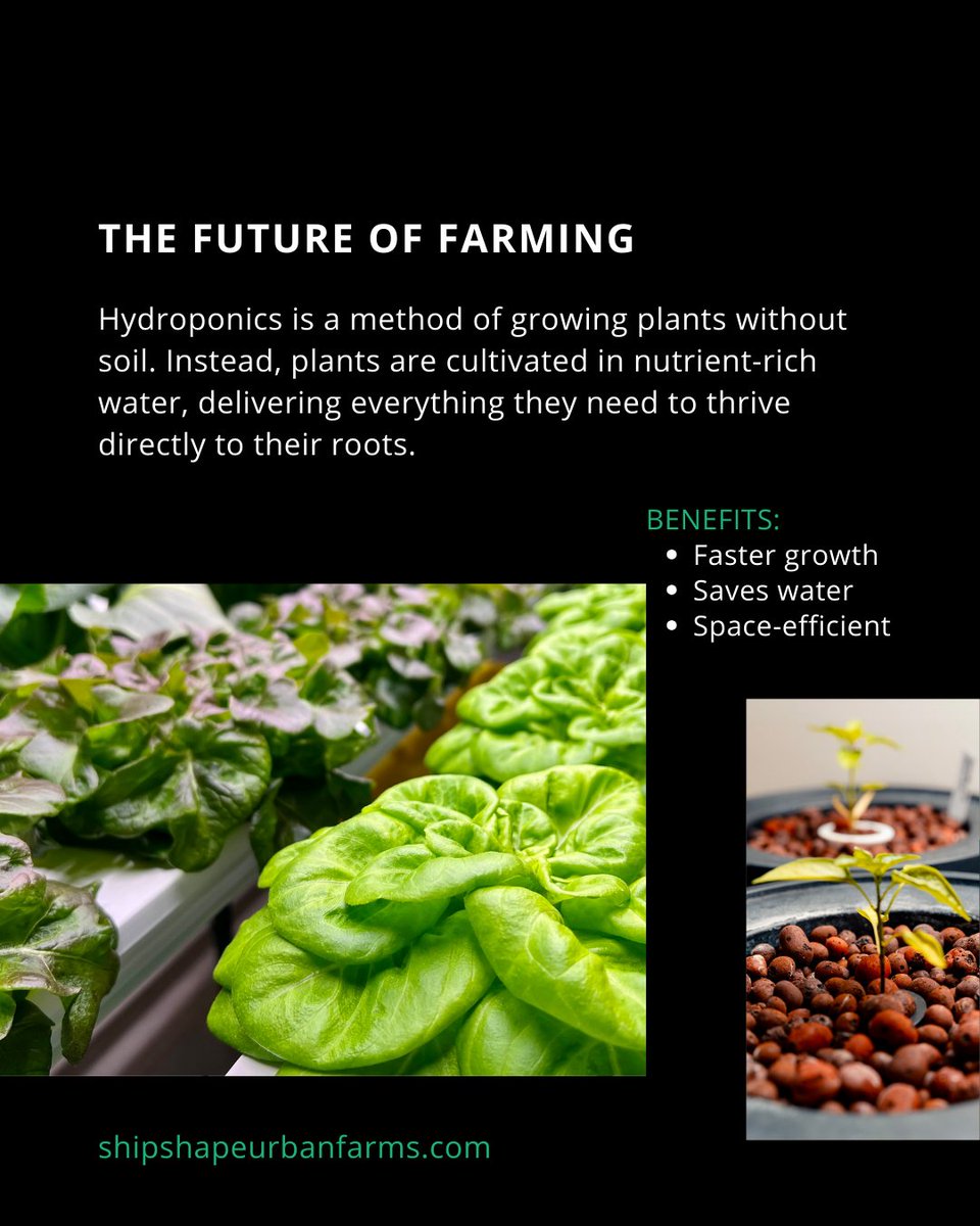 Shipshape Urban Farms tweet media