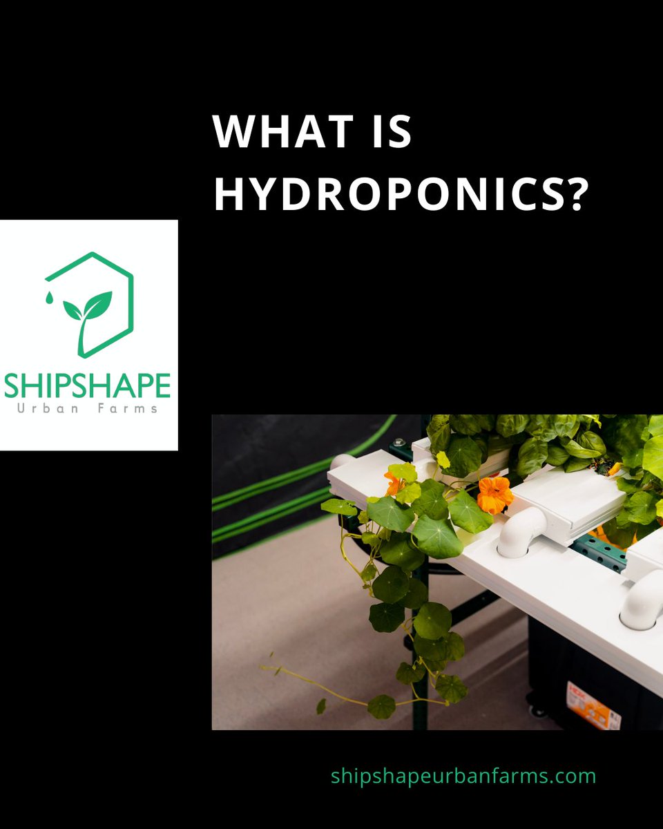 Shipshape Urban Farms tweet media