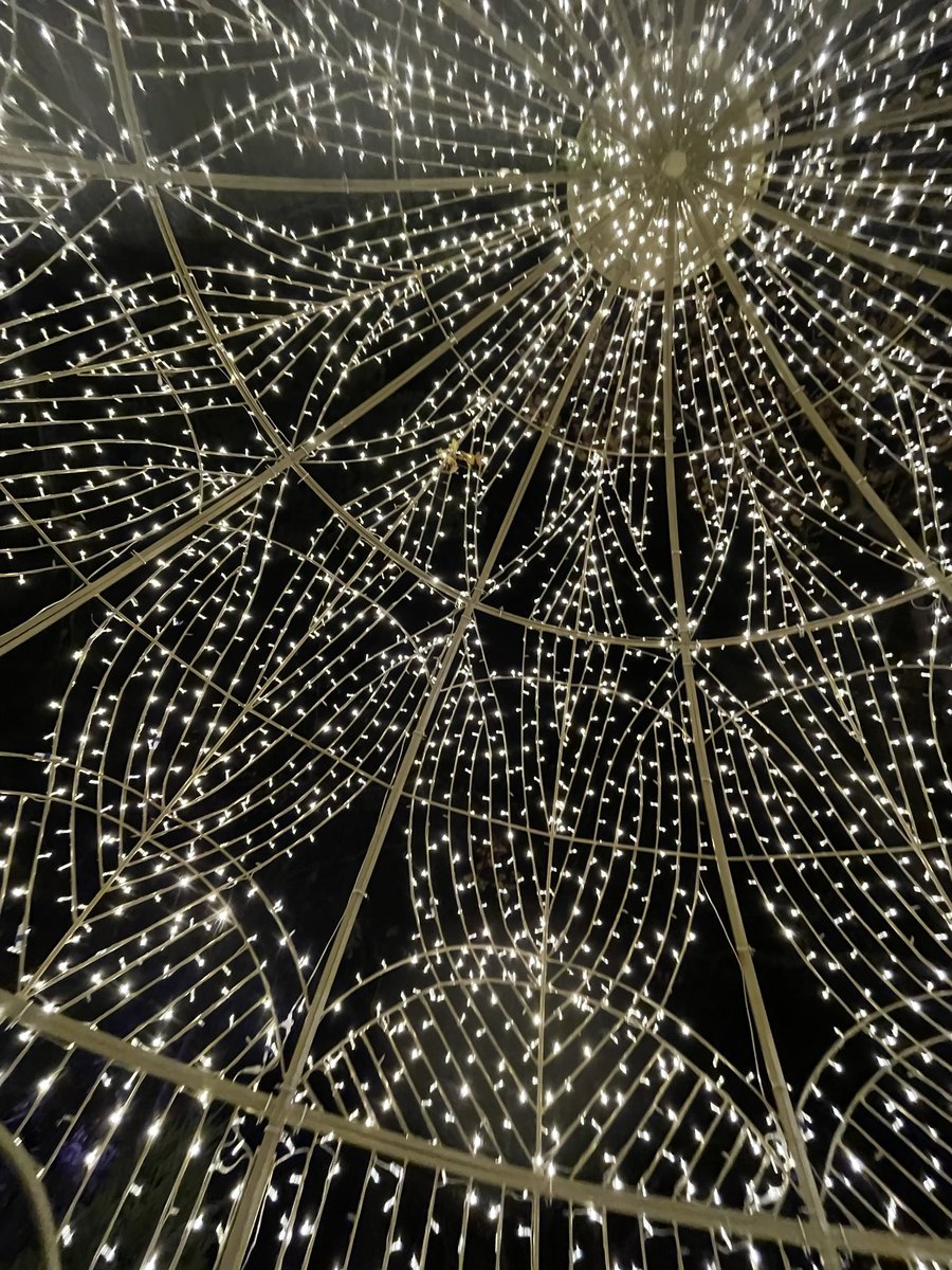 Macho Man Tony Savage tweet media