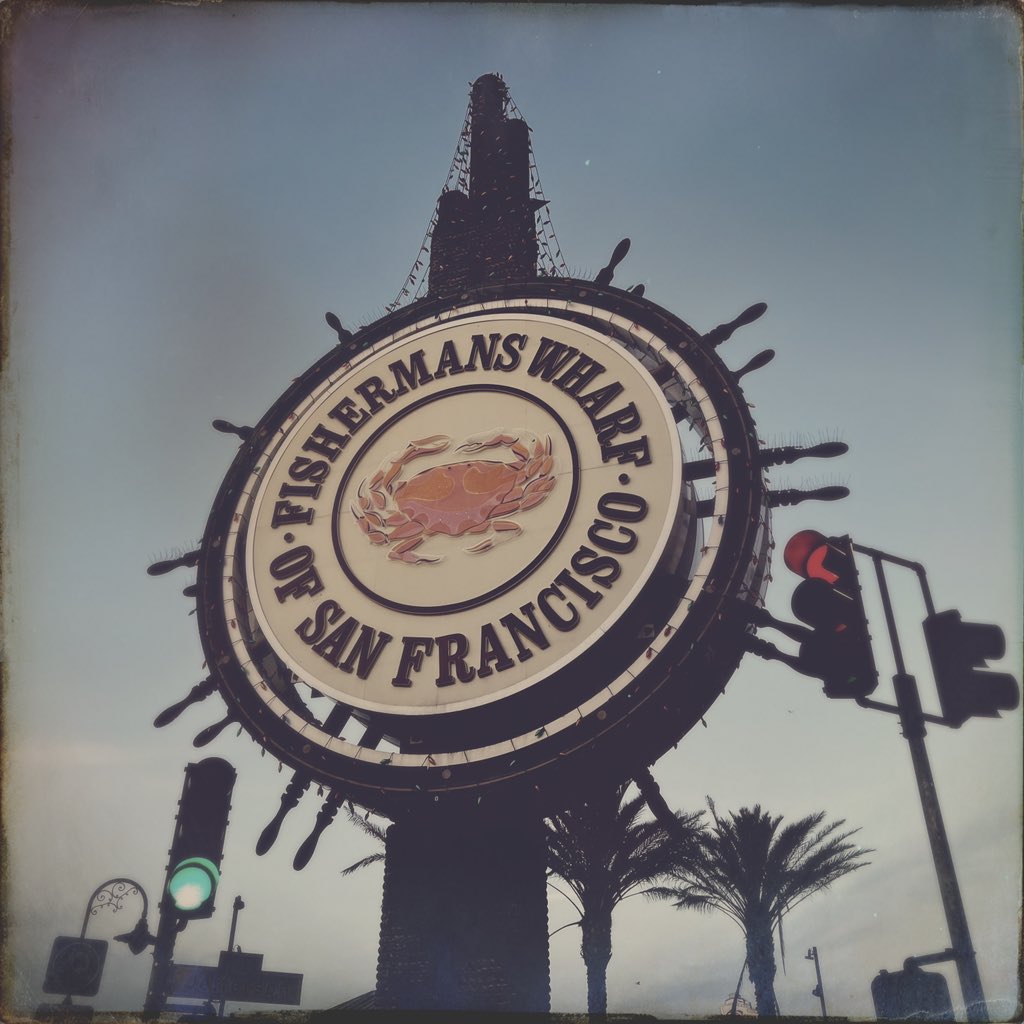 sonnywong001's tweet photo. Spent a quick 24 hours in San Francisco to check in on my folks @sfweedweek Terpnami event. Good folks, great seeds, amazing weed!  Now back to Humboldt. https://t.co/ppQPRSPrcP
