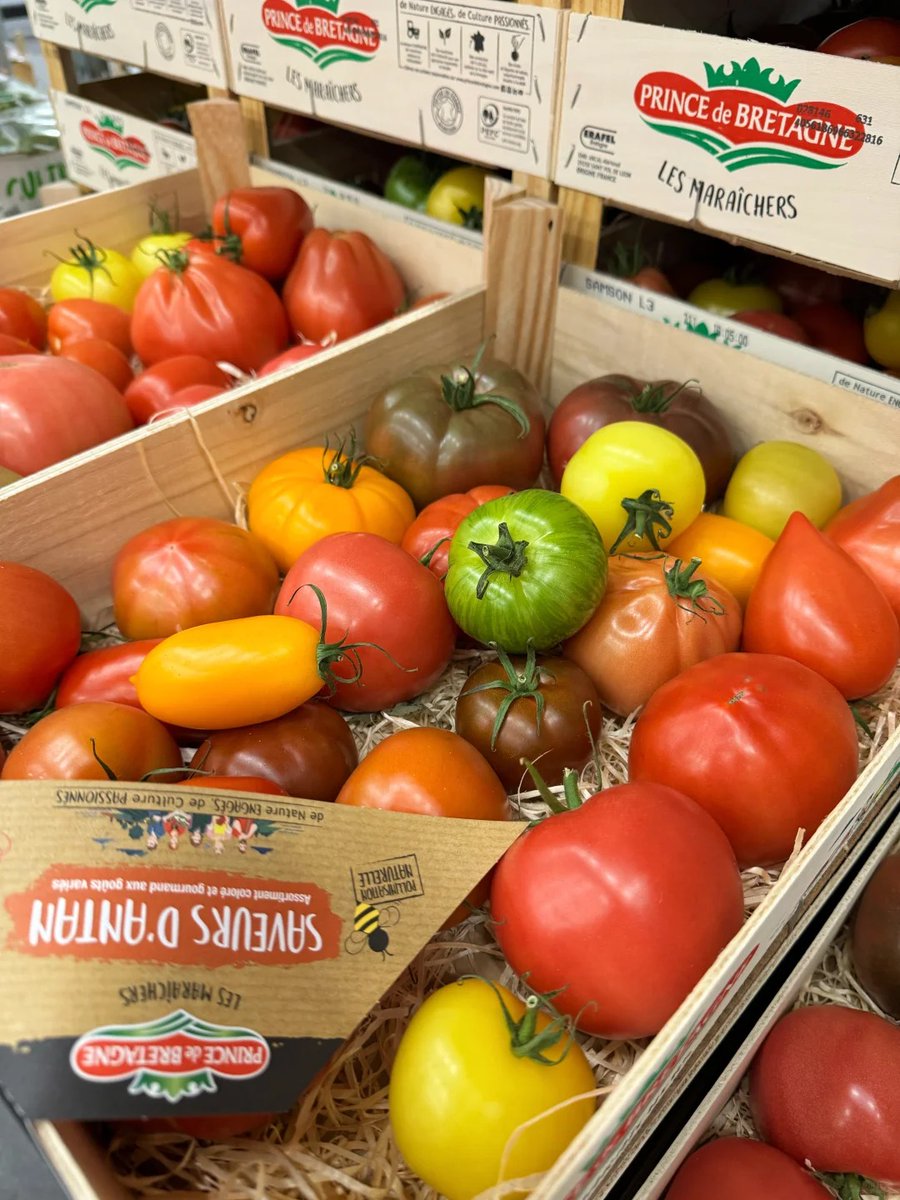 A vibrant display of assorted fruits neatly arranged in boxes, showcasing a variety of colors and types.