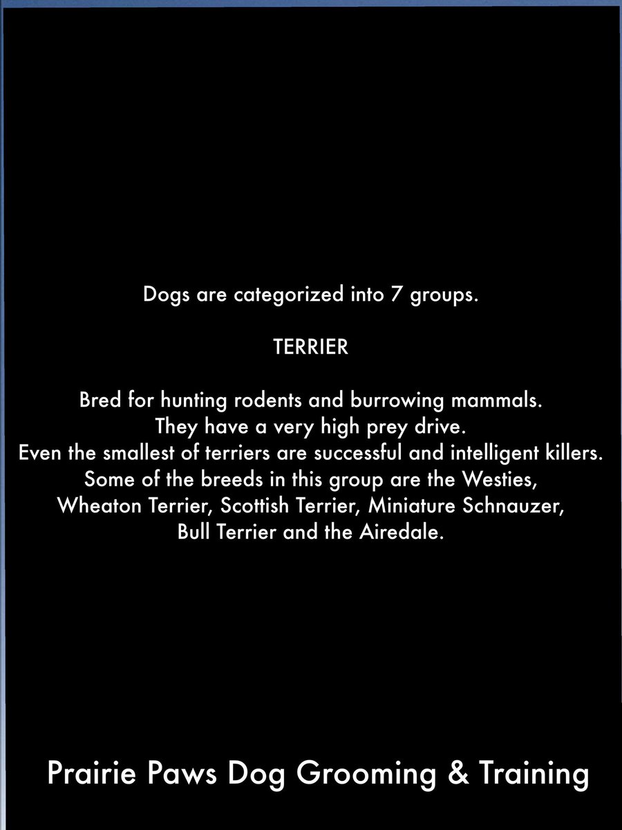 CaraSouthpaw's tweet photo. One of the most wonderful things in life is adding a puppy or a dog to your family.  

This is a commitment and should be taken seriously.  

So here are a few things to consider before getting a puppy or a dog. https://t.co/vOAFRMFhPR