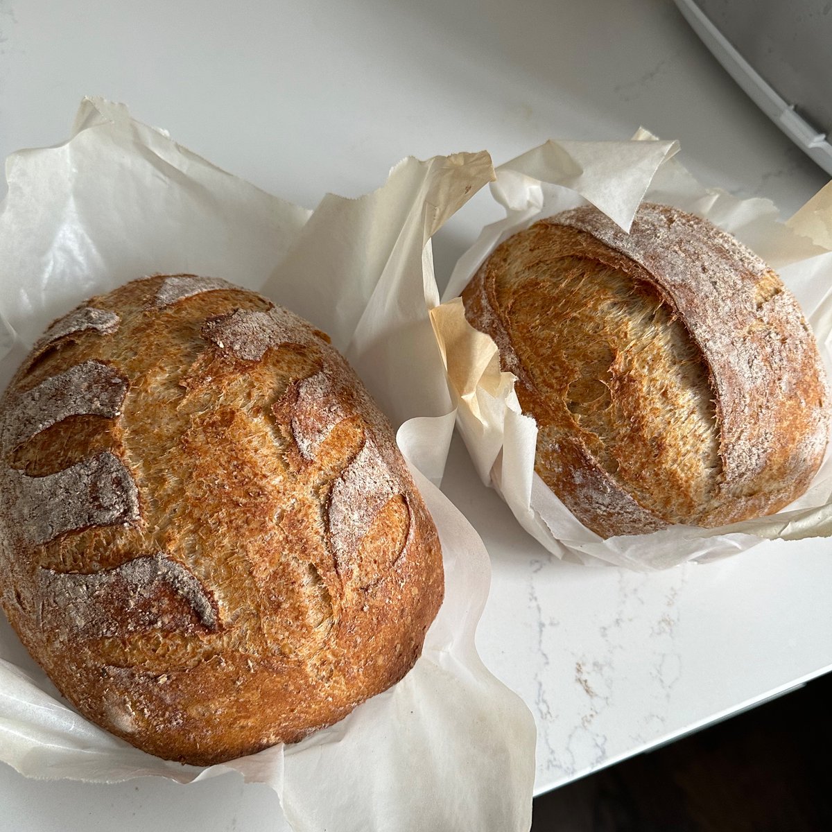 dittopoop's tweet photo. Bread ain’t enough anymore, need with #thecheese https://t.co/KH9Stjqbnp
