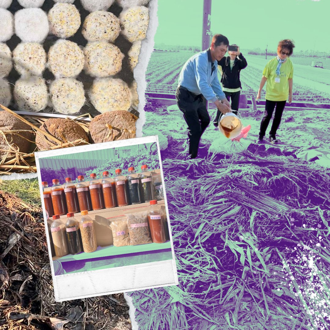 Pacific Organic & Ethical Trade Community tweet media