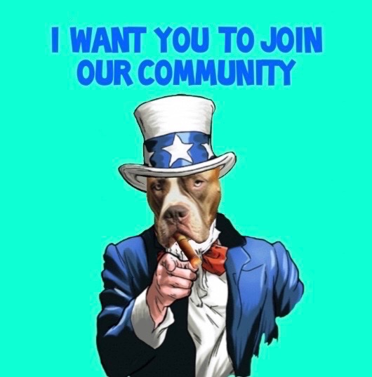 BibuToken's tweet image. 🔥Looking for the finest to join our community 🔥