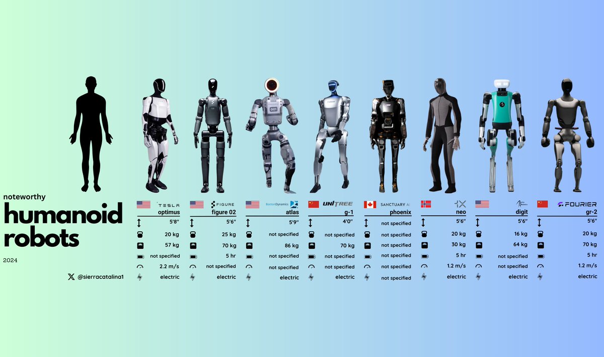 ⚪️ sierra catalina tweet media