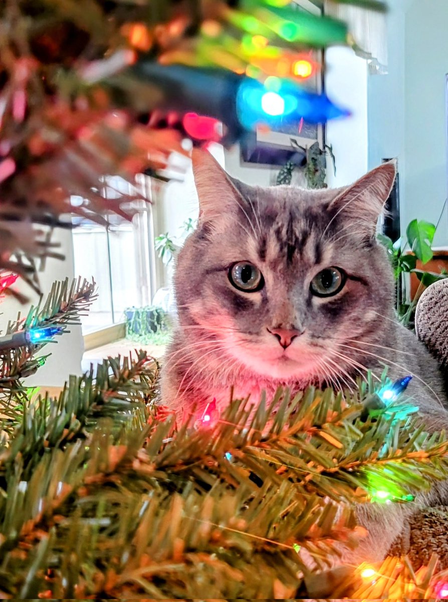 Drake Gard (@drakegard1) on Twitter photo 