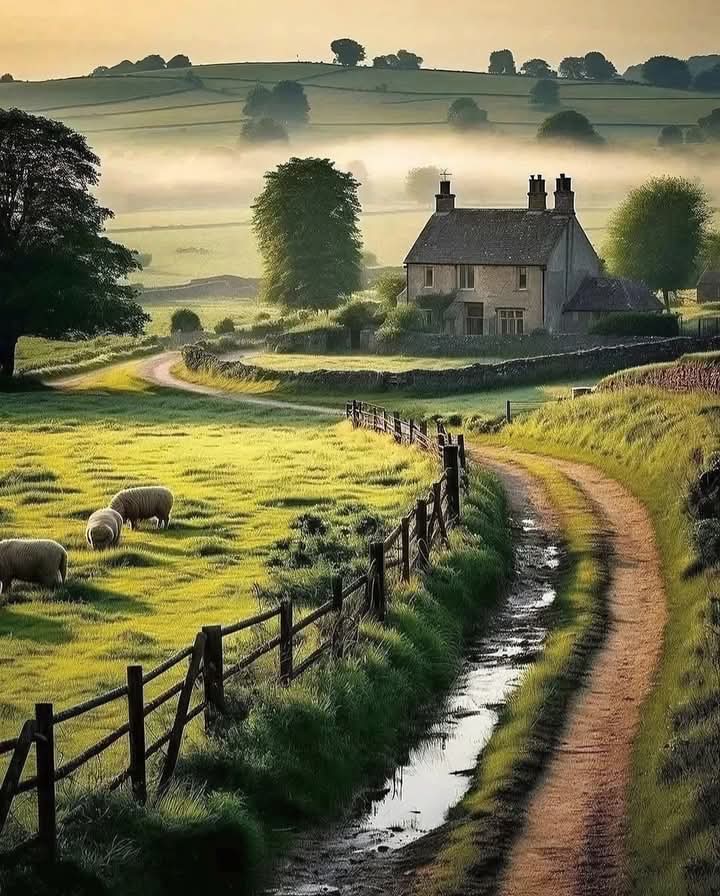 🌸🍃Africa Mia🍃🌸 tweet media