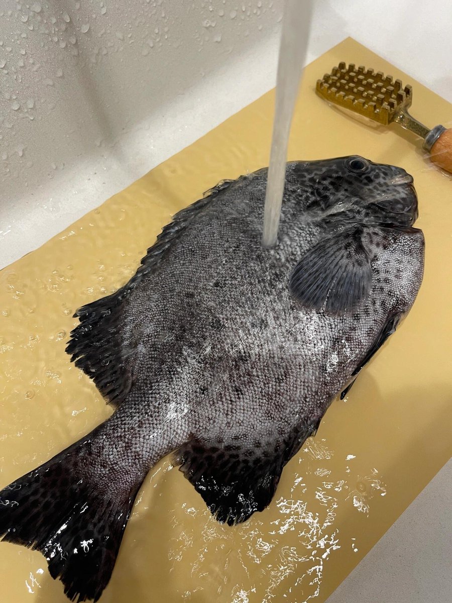 ShellUEJF's tweet image. わかった！