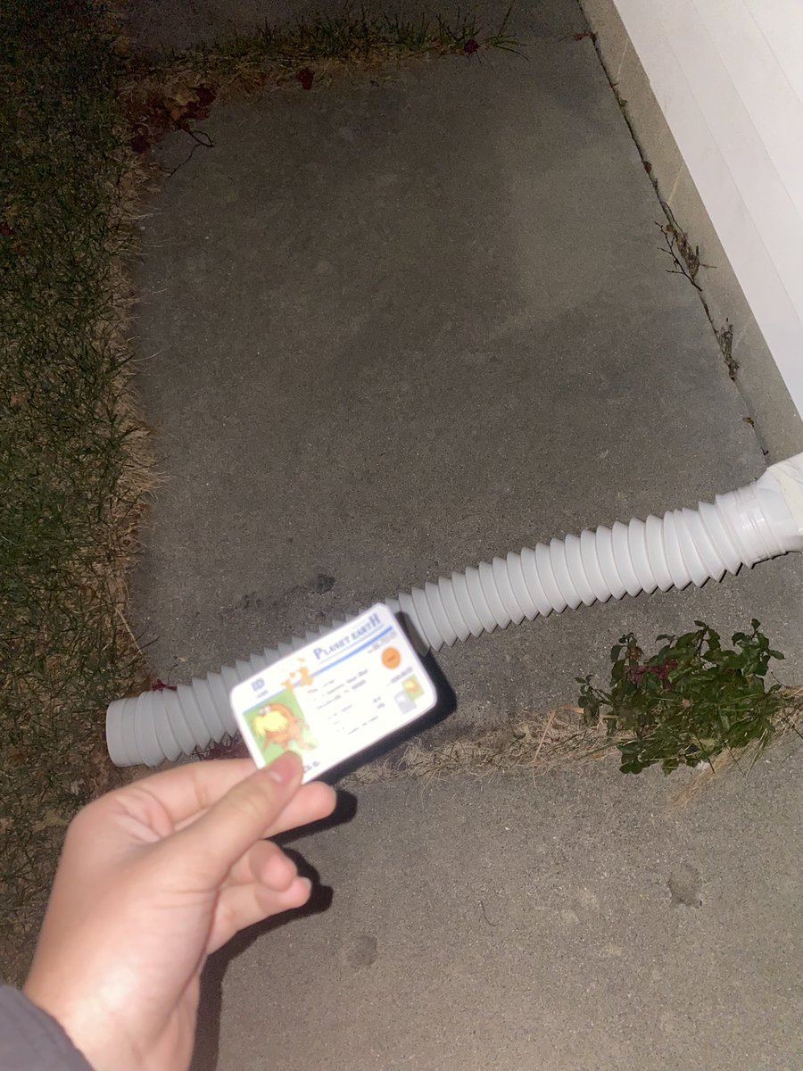alirizviapes's tweet photo. This water drainage system outside of my house used the excess water from my home and drains it outside rather than it leaking inside, this water leading outside can help avoid water damage. #apeswater @franklinlorax https://t.co/t7jXAU9H5s