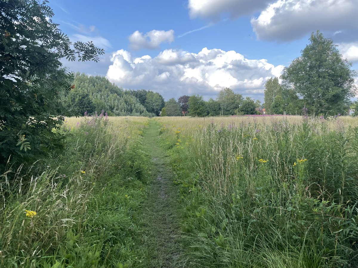 ryebankfields's tweet photo. Grief is part of life, link in @TherapyUpNorth’s tweet to an article on how #NatureConnection helps us move through it. @AngelaRayner please don’t take away #UrbanNature spots like #RyebankFields that help us survive the toughest times 
#PlanningReform
#LocalDemocracy
#Manchester https://t.co/4Lo8UNZTYk