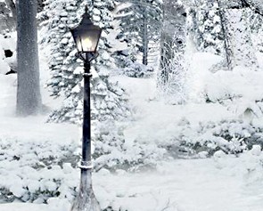abysswalkerdill's tweet photo. "Always winter, but never Christmas"

#DawningFashion #Destiny2 #DestinyFashion #TheLionTheWitchandtheWardrobe @A_dmg04 @BrunoLouviers @DestinyTheGame @Destiny2Team 
Dill > Bungie Profile | https://t.co/LDHGaRmzrg https://t.co/WJd2tUFmIV