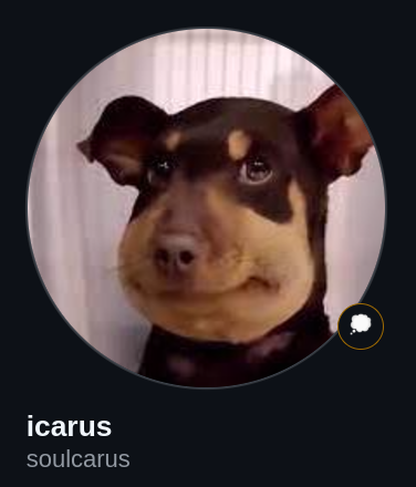 soulcarusdev's tweet photo. @JOOPEDROAR12361 se for a do github eu até agradeço, meta https://t.co/UhlQgGuHfW