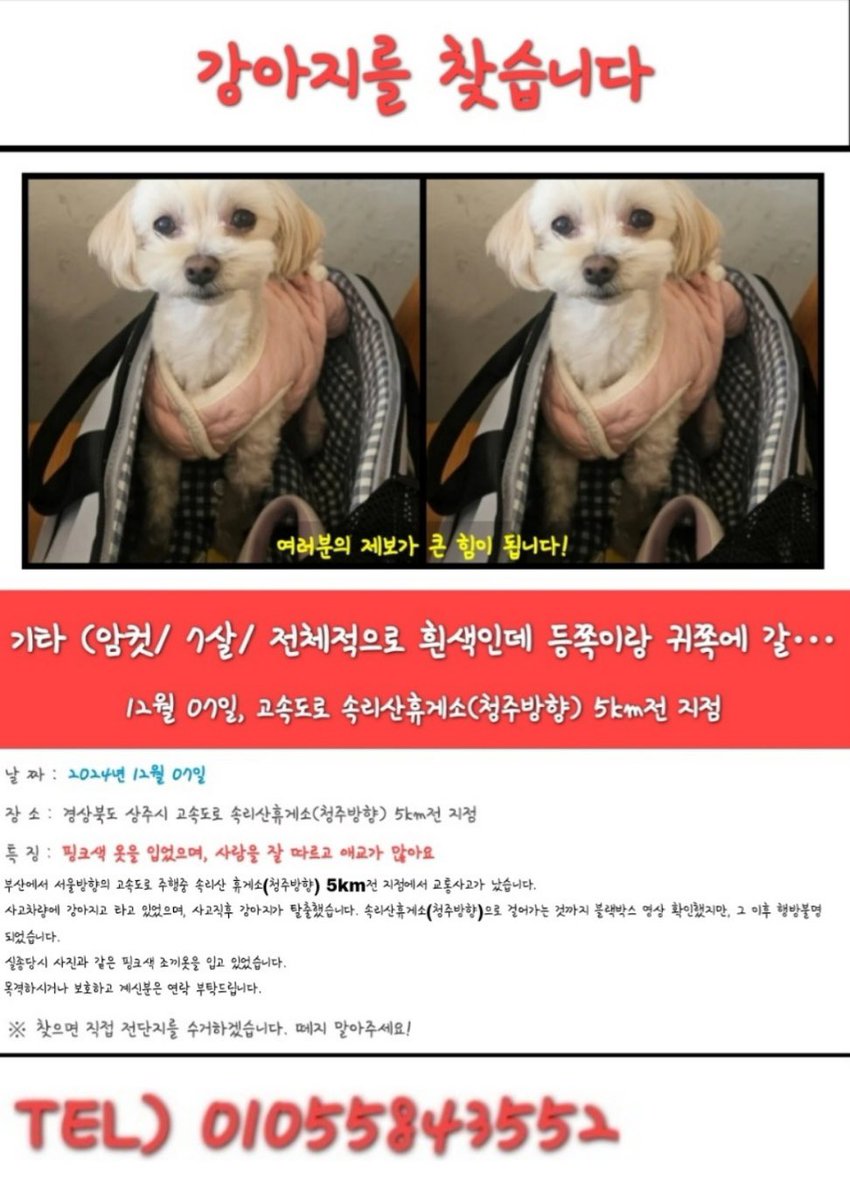 BAEK_gkwl's tweet photo. 안녕하세요 백찬이 누나입니다.
저희집에 미용받으러 오던 댕이 기억하실까요.

댕이 어머니 차가 6중 추돌사고로 전복되어 어머니는 척추 부러지시고 댕이가 놀라서 탈출했습니다.

핑크조끼를 입은 해당 강아지를 보신 분들이 보실 수있게 알티 한번씩만 부탁드립니다 https://t.co/X40bwwHjRQ