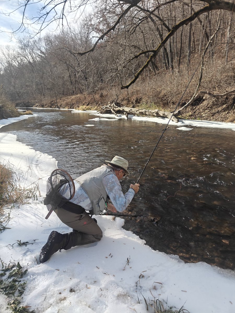 mspaddler's tweet photo. An unexpected warm spell this weekend had me driving 250 miles west to a Minnesota State Park for catch and release extended season.  My pal is releasing a nice Brown Trout in the Creek. https://t.co/Kred6DvdFT