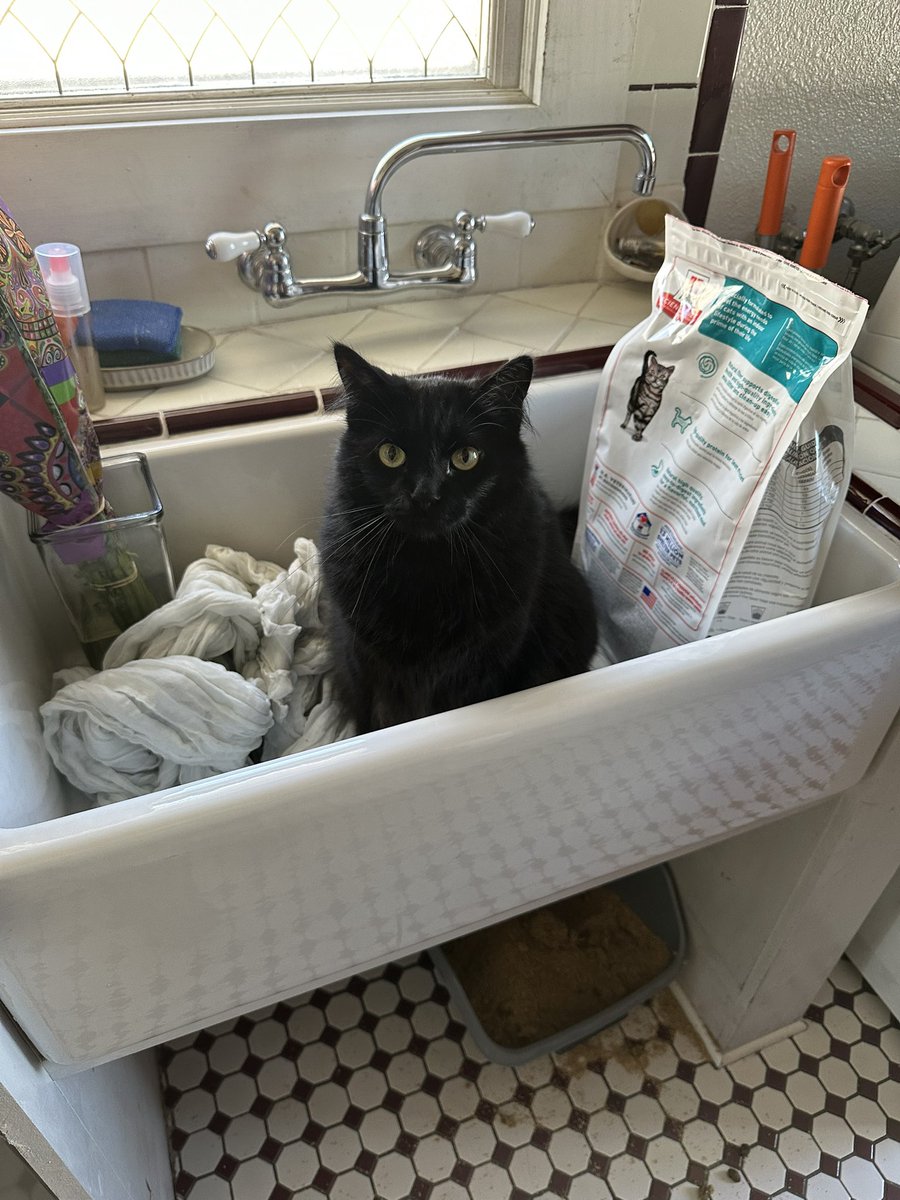 joeslacker's tweet photo. @RuthWobbles Eddie says hi https://t.co/vfHI403A80