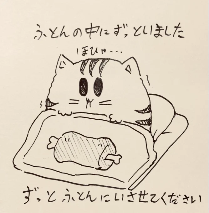布団にいたらずっと寝ちゃう…起きます🐯 