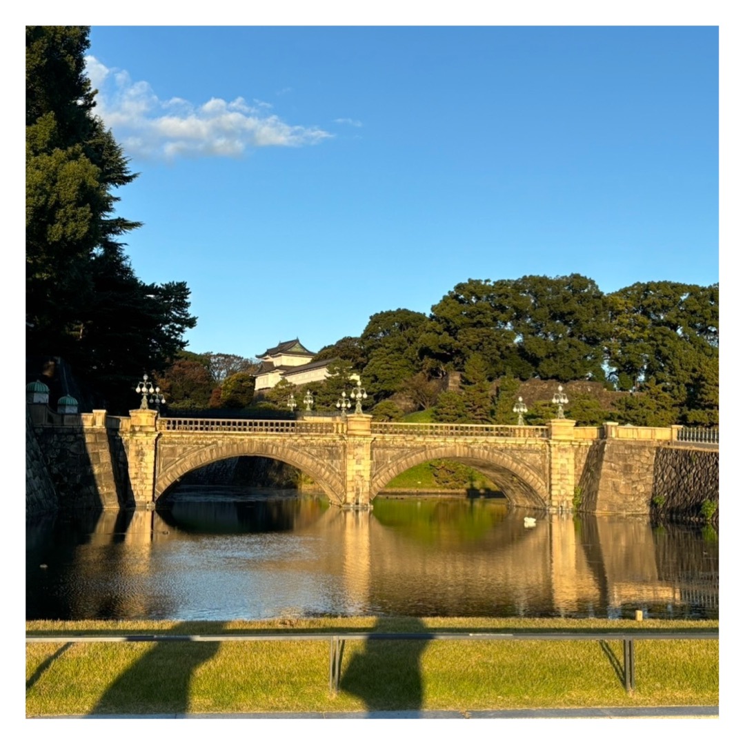 #社員の日常 おはようございます♪友達と早朝に起きて皇居外苑散歩に行きました☀️太陽が高層ビルに反射して2つあるように見えて、友達としばらくどっちが本物の太陽なのか話し合う和やかな朝活でした😄とてもいい思い出です #ITコンサルティング #IT #ITコンサル #コンサル #エンジニア #PM #PMO