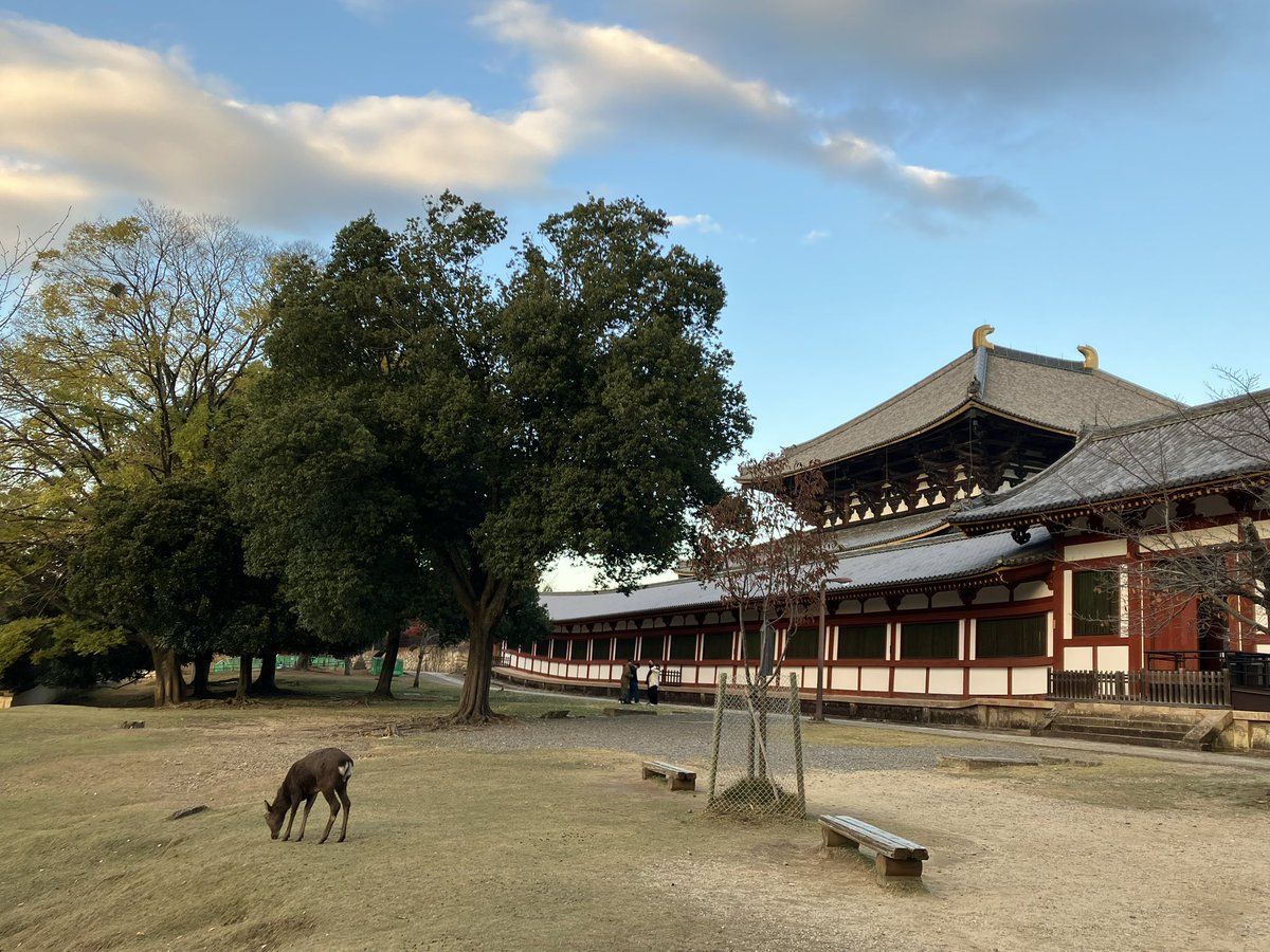 baimaken0218's tweet photo. 东大寺 https://t.co/j73kir1he7