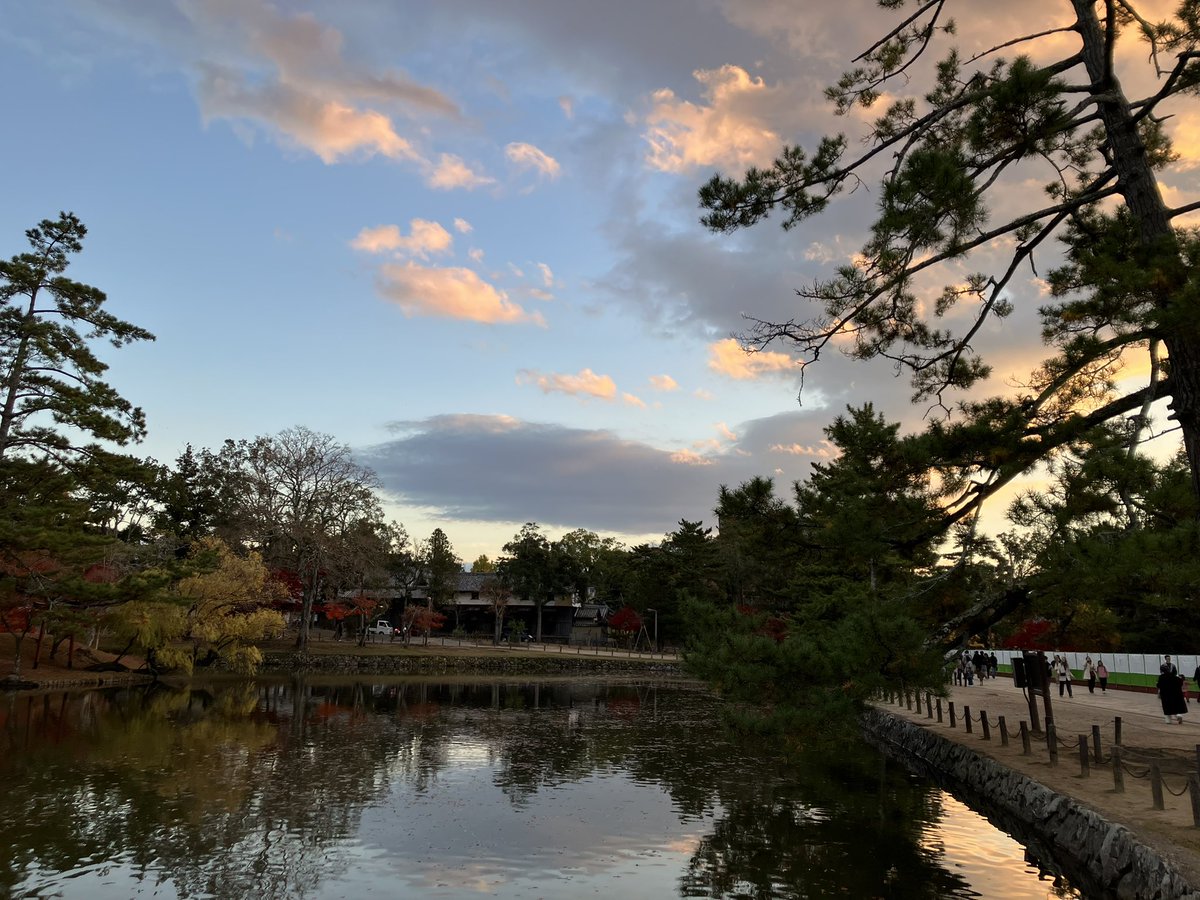 baimaken0218's tweet photo. 东大寺 https://t.co/j73kir1he7