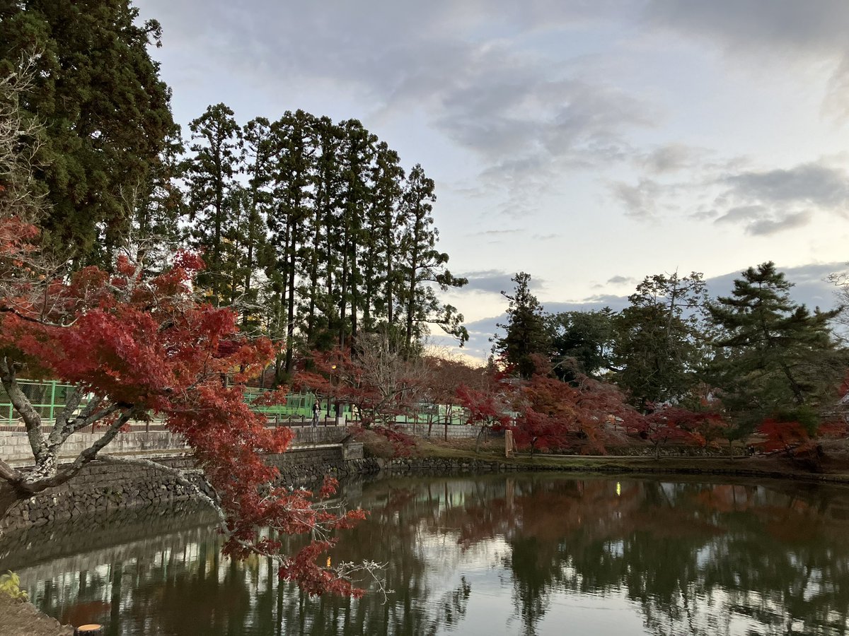 baimaken0218's tweet photo. 东大寺 https://t.co/j73kir1he7