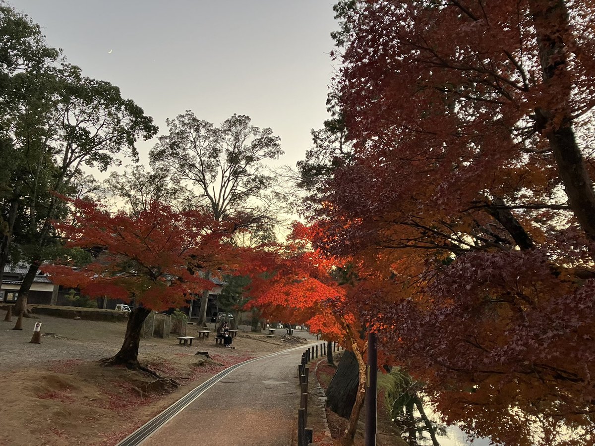 baimaken0218's tweet photo. 东大寺 https://t.co/j73kir1he7
