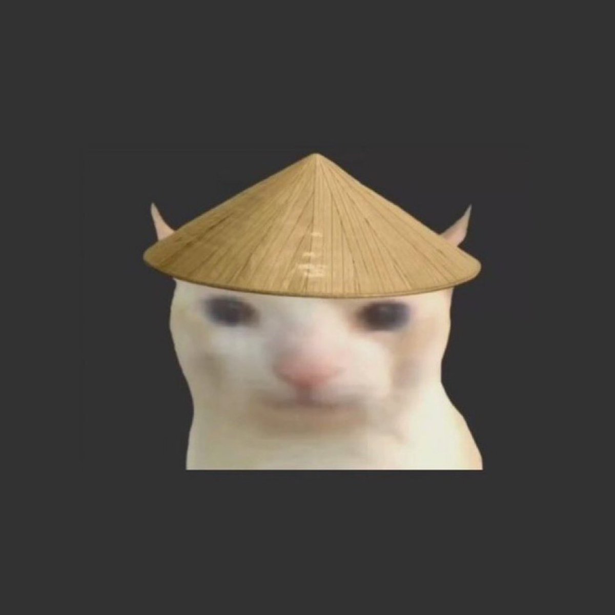 burntmoments's tweet photo. TikTok quant that gave me prawn is telling me Chinesed 

9jgE7vCNXgLAodQA2zVZ6jpt2d3292RzYkZ17Q19pump

Hasn’t bonded yet 

Twitter @ChinesedCTO https://t.co/gs6IdMQAfP