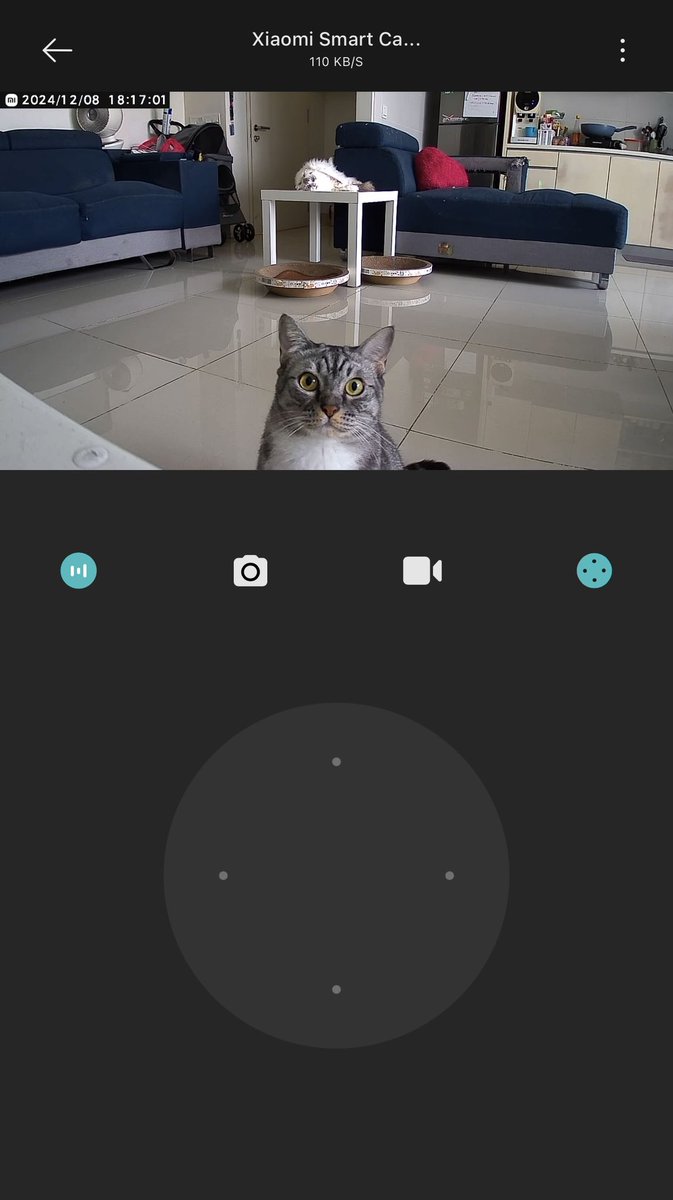 brgsjks's tweet photo. Sepatutnya kita yang pantau dia kat rumah eh eh dia pulak yang nak pantau kita dari rumah. https://t.co/kxvaJeKenB