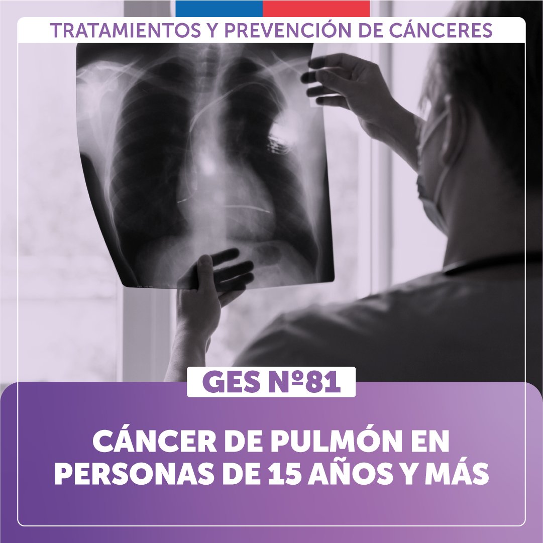 ministeriosalud's tweet photo. 🔹Toda persona de 15 años o más con sospecha, diagnóstico o reaparición de cáncer de pulmón, puede acceder a cobertura #GES.
 
Encuentra más información sobre atención, cobertura y beneficios del #GES81 en https://t.co/WR4ulRGsbm https://t.co/nJGkKRYopr