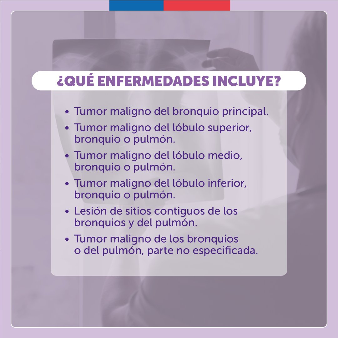 ministeriosalud's tweet photo. 🔹Toda persona de 15 años o más con sospecha, diagnóstico o reaparición de cáncer de pulmón, puede acceder a cobertura #GES.
 
Encuentra más información sobre atención, cobertura y beneficios del #GES81 en https://t.co/WR4ulRGsbm https://t.co/nJGkKRYopr