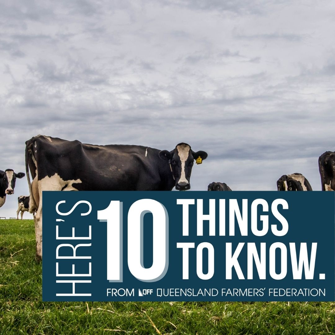 Queensland Farmers' Federation (@qldfarmers) on Twitter photo This week in 10 Things ๐ <a href="/NationalFarmers/">National Farmers' Federation</a> has welcomed a new report that places farmers at the centre of a re-invented food system & QFF spoke to ABC's Rural Report to discuss where landholders can go regarding renewable energy projects on their land.
bit.ly/3ZqrpPh This week in 10 Things ๐ <a href="/NationalFarmers/">National Farmers' Federation</a> has welcomed a new report that places farmers at the centre of a re-invented food system & QFF spoke to ABC's Rural Report to discuss where landholders can go regarding renewable energy projects on their land.
bit.ly/3ZqrpPh