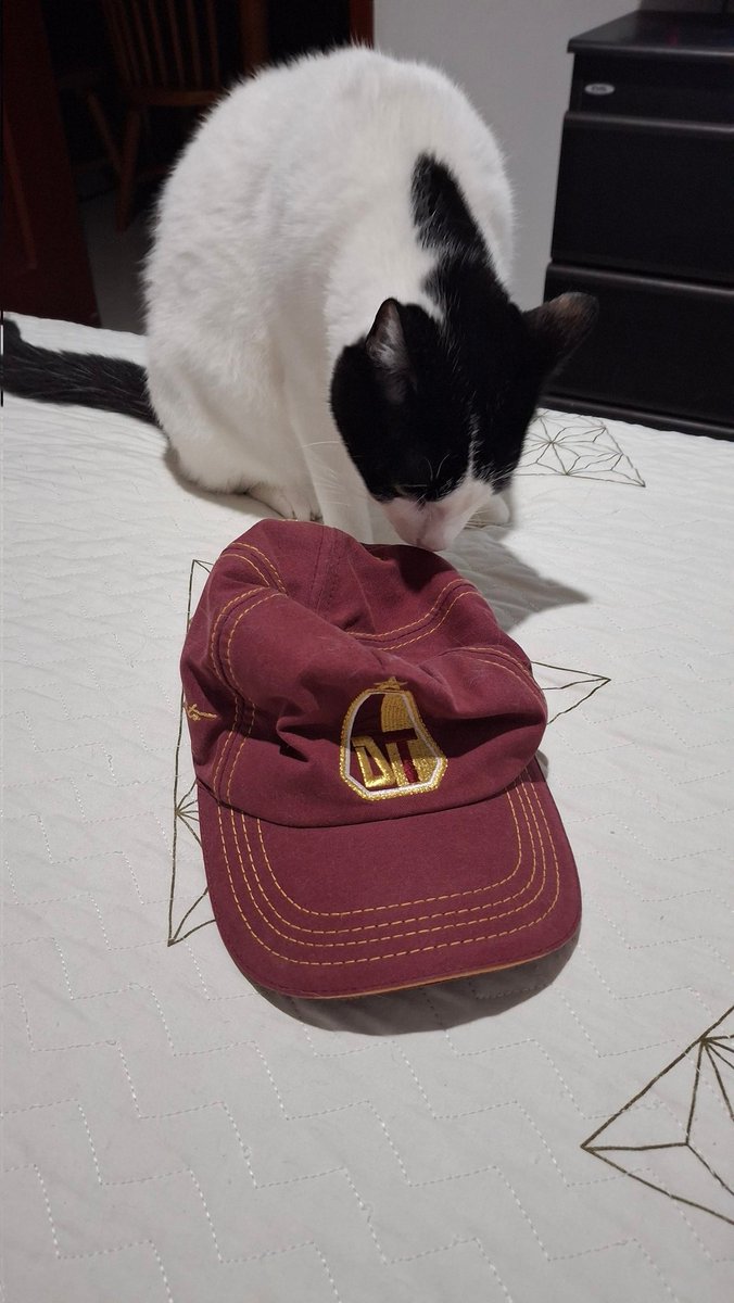 PitocarCarrero's tweet photo. Huele a 🌟...vamos 🐽 #Tolima https://t.co/8s6e6UV30S