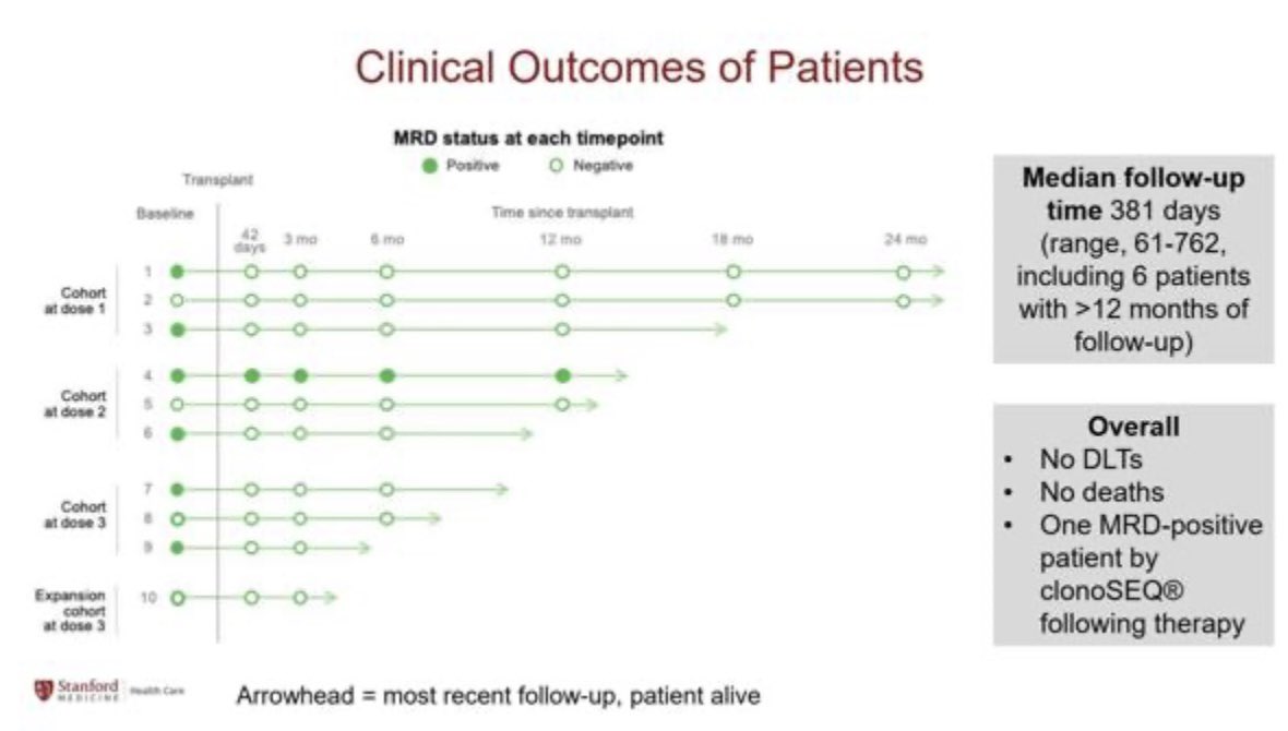 Razan_Mohty's tweet photo. Melody Smith from @Stanford present impressive results of engineered MAC #alloHCT & donor CD19/CD22 for adult pts with B#ALL
👉Combining #CellRx platforms
#ASH24 #ASH24rm https://t.co/Fj0c02iRVi