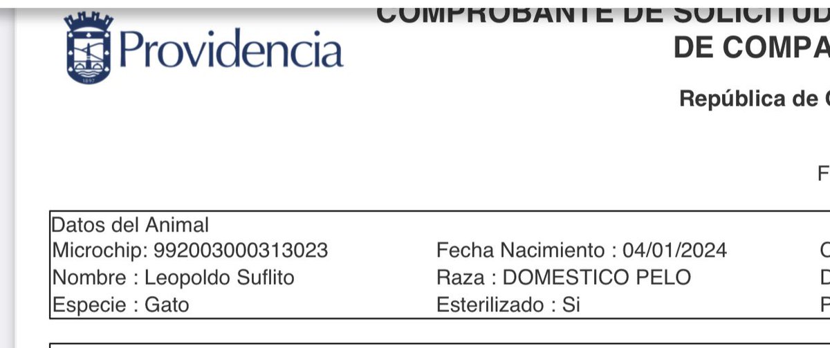 Monserrat Lecaros Á. tweet media