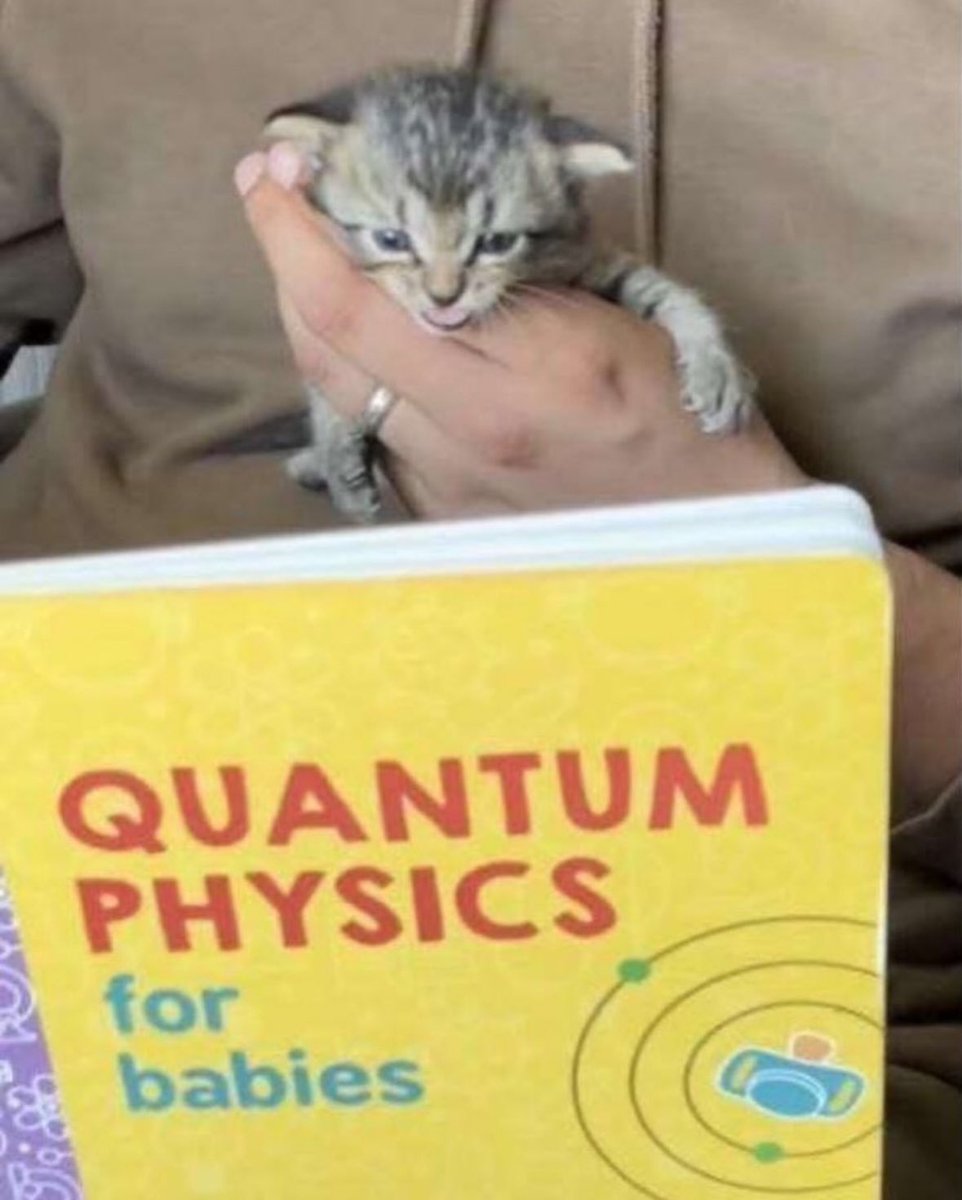 PunchingCat's tweet photo. GET OUT!!!! HES STUDYING!!!!!! https://t.co/9NPNw1qFzO