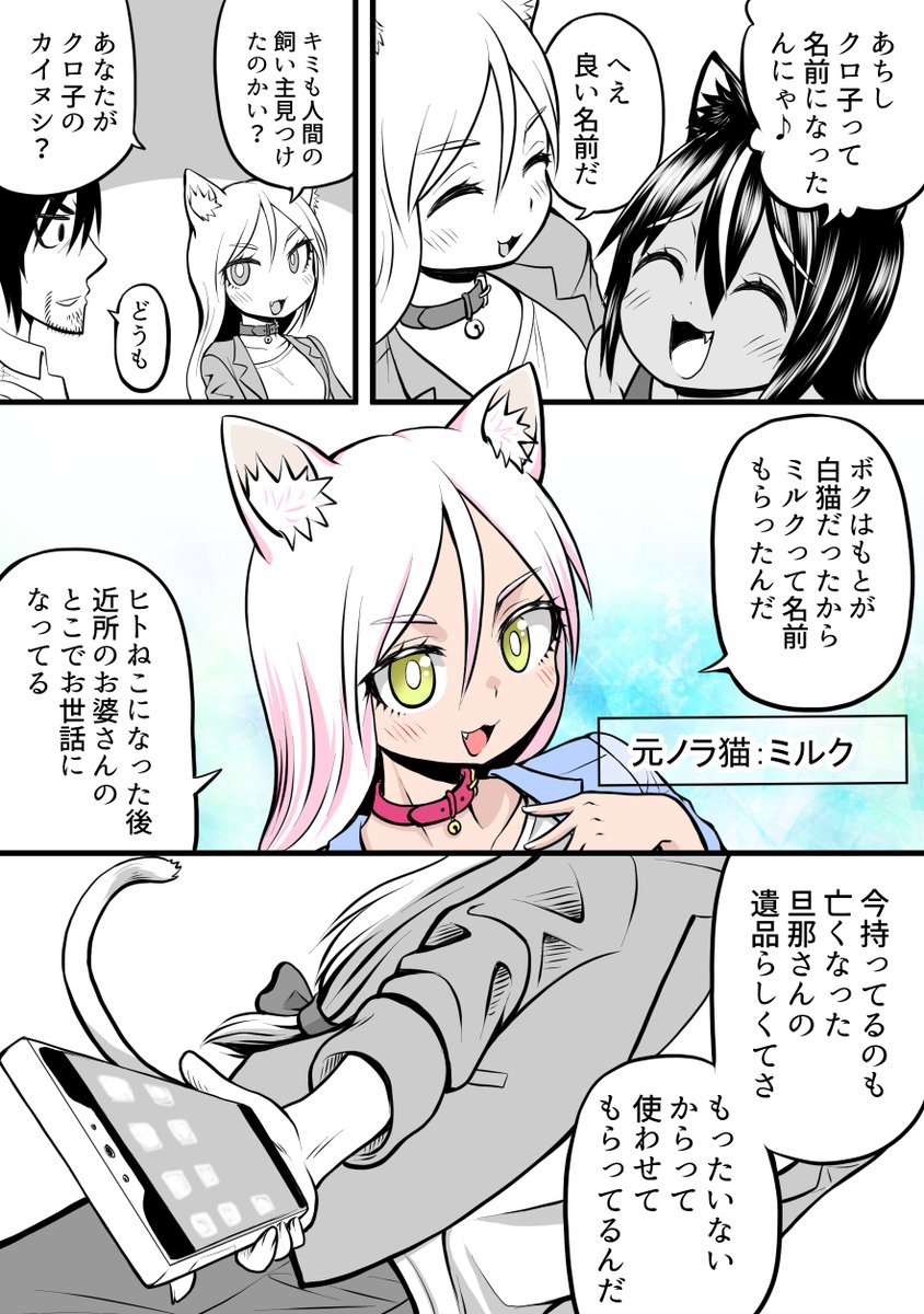 ねこがハンランする話3(4/6) 