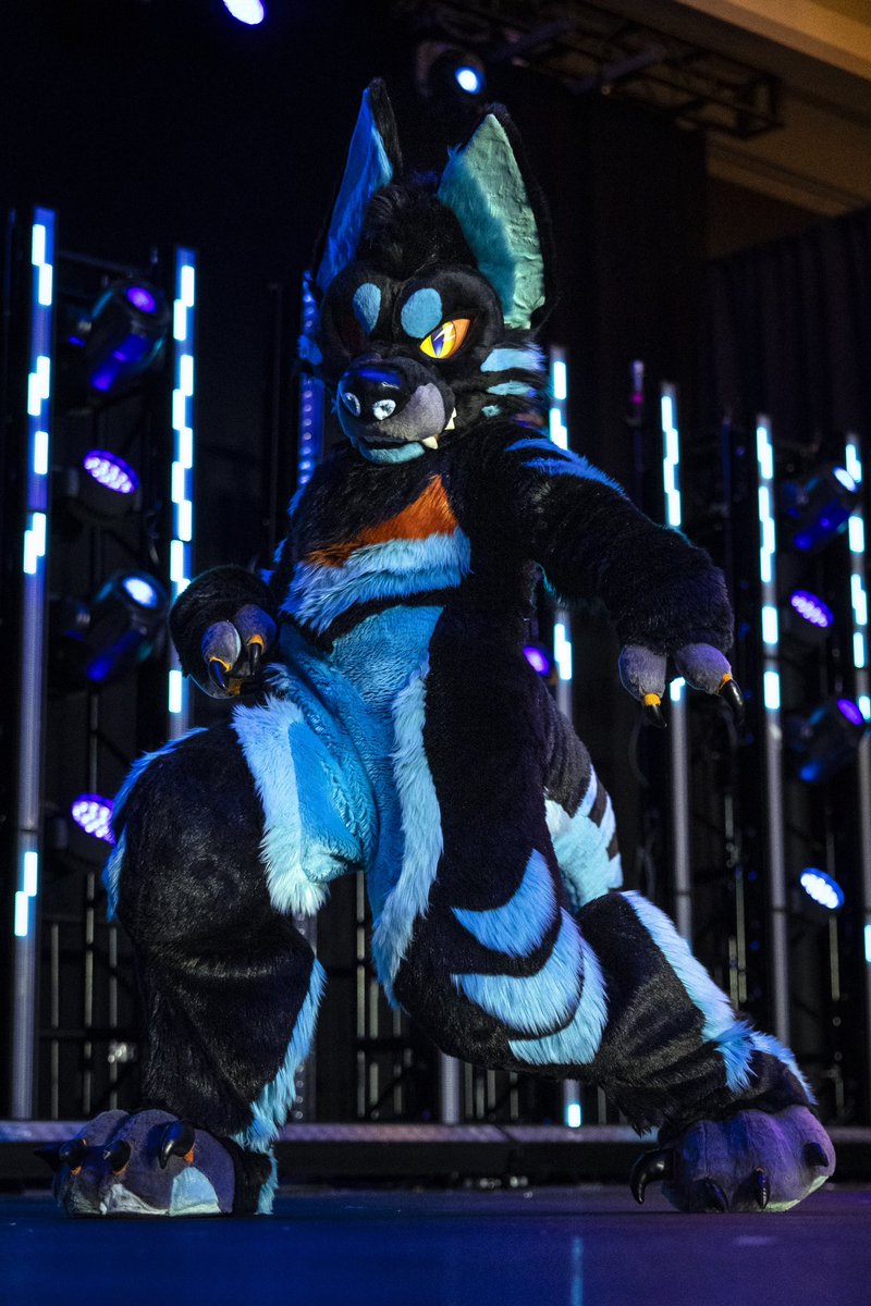 Dire Walf tweet media