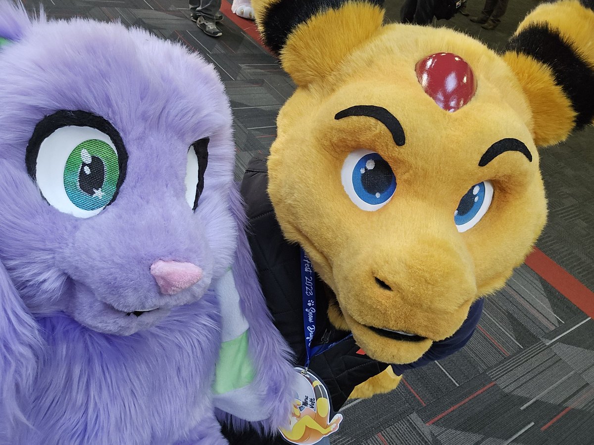 floppy bunny (@thatfloppybunny) on Twitter photo 