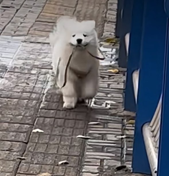 ผมดุแลตุวเองได้