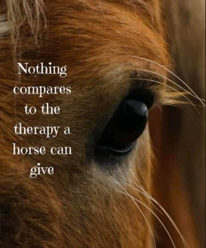 horseimage's tweet photo. https://t.co/eaYxNJA1go