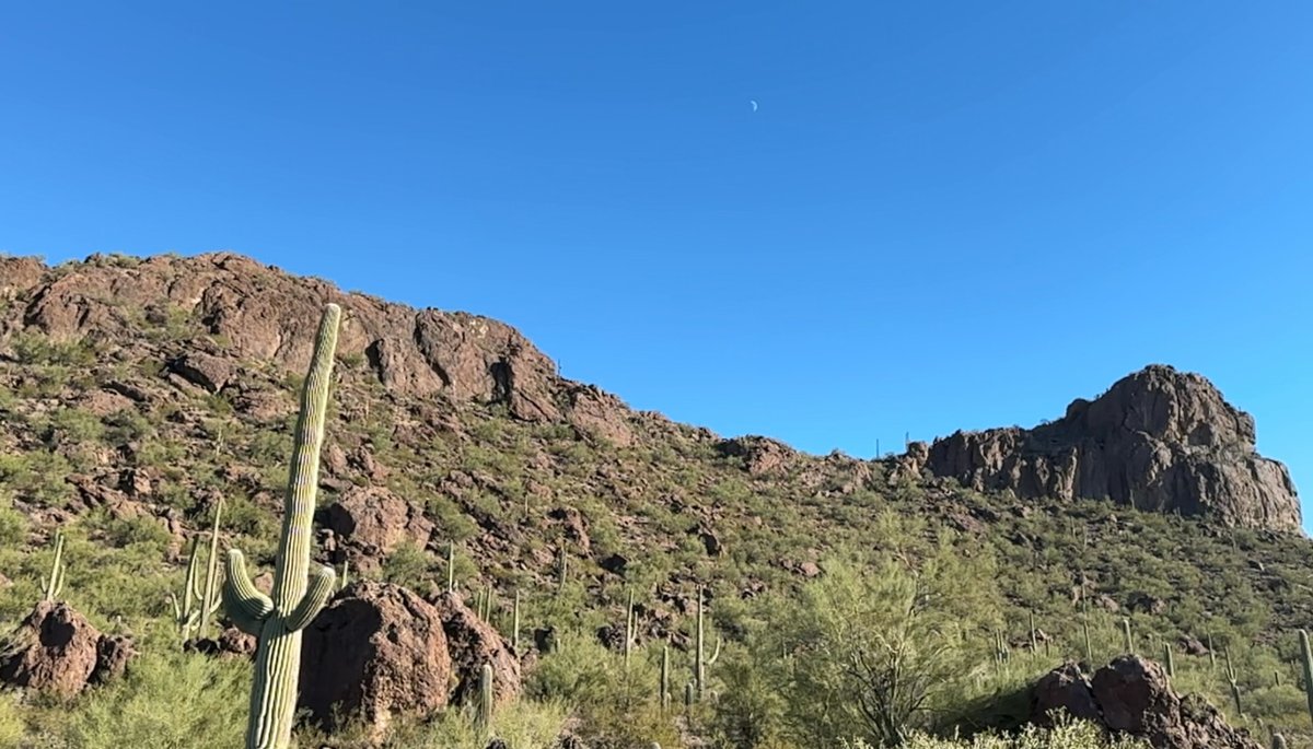 Bryan Clark tweet media