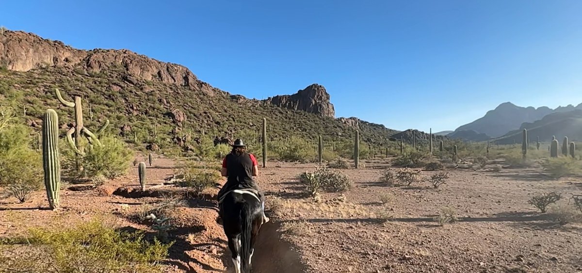 Bryan Clark tweet media