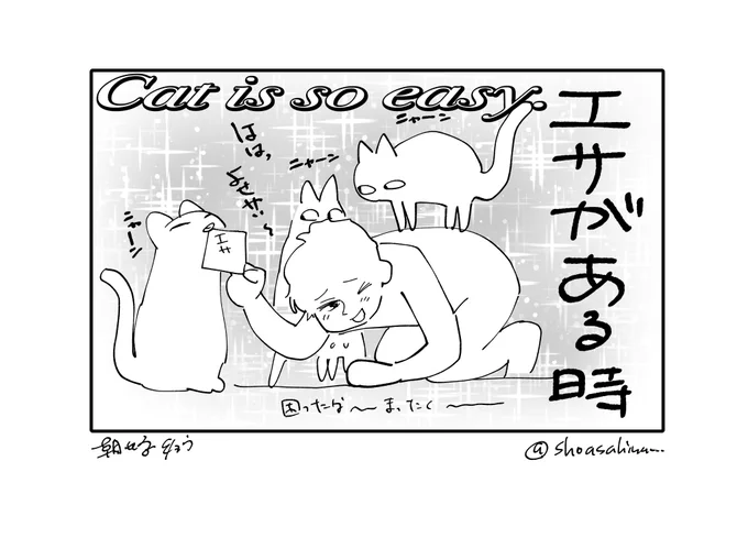 猫カフェ楽しかったです 
