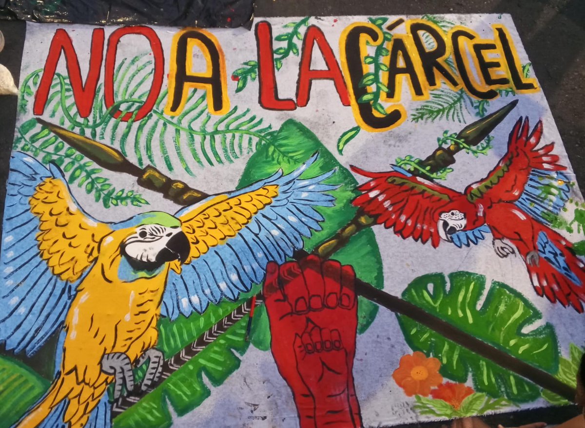 FernandaGuzmn2's tweet photo. @ZoomEcuador #NoALaCarcelEnArchidona 💪🏻 https://t.co/fpZla1Ytzm