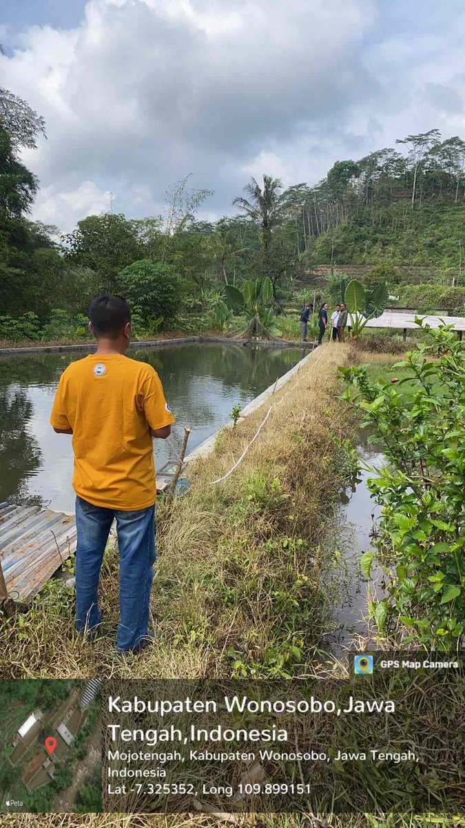 IstiAnggih's tweet photo. Selasa (22/10/2024), Anggih Isti, Luhkan Kab.Wonosobo mendampingi verifikasi CPCL Bioflok dari BBPBAP Jepara di Pokdakan “Mina Tirta Wening”

#GiatLuhkanSatminkalTegal 
#luhlapor
@PKBLU_bp3tegal https://t.co/A1rN5vlsLL