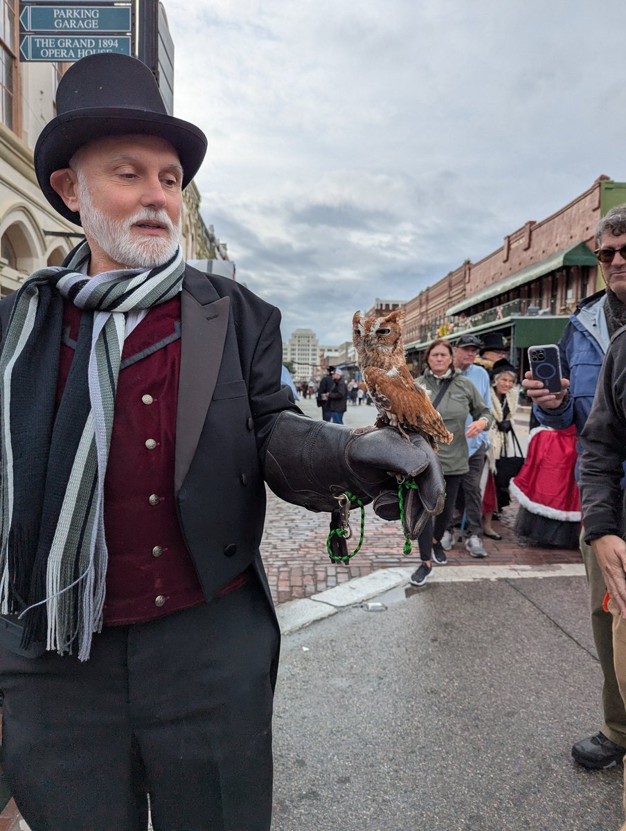 Lauren Vincent tweet media