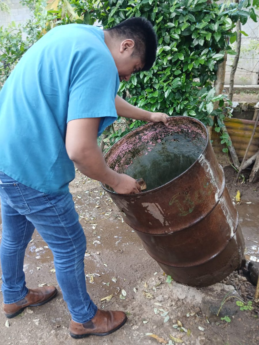 javierliberado's tweet photo. 🐸🦼!  En #Nicaragua la Red comunitaria tiene su Protagonismo Produce #SaludParaElPueblo siempre camina con la Revolución #8Diciembre salvando vidas, seguimos adelante en Paz y alegría.
@ale_rusconi @casari_fabrizio @CamilaPlomo @NoviadelConcepc @cortezamelita1 @canaltn8 https://t.co/tMruvbUvl8