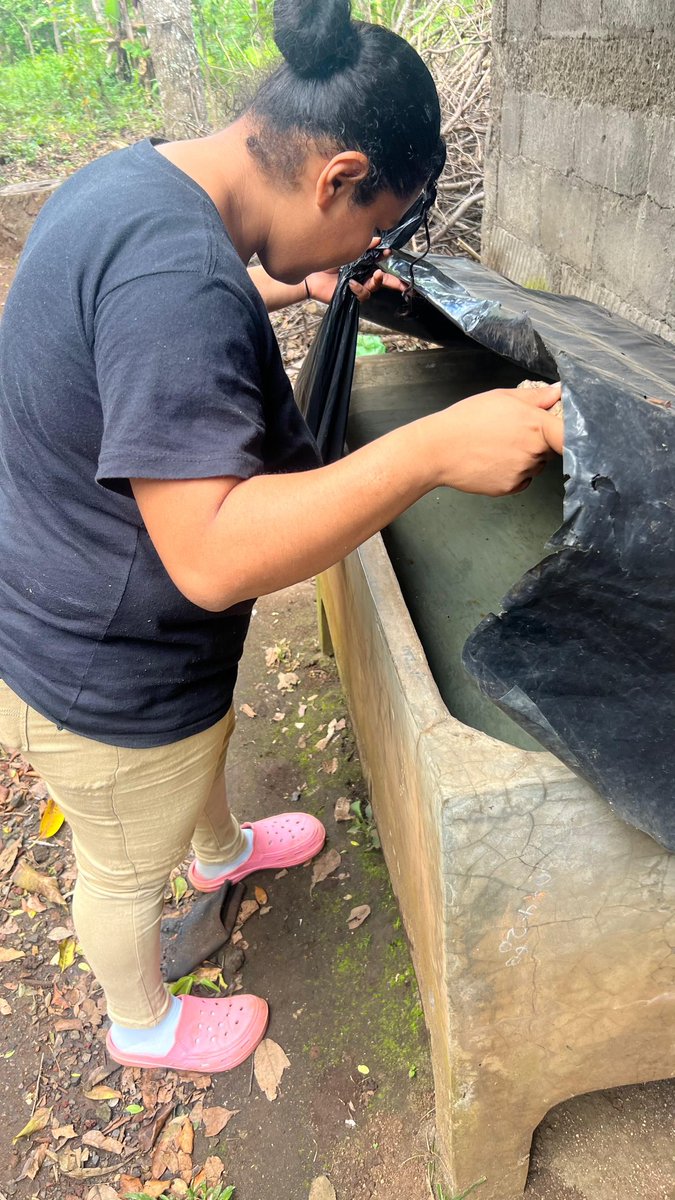 javierliberado's tweet photo. 🐸🦼!  En #Nicaragua la Red comunitaria tiene su Protagonismo Produce #SaludParaElPueblo siempre camina con la Revolución #8Diciembre salvando vidas, seguimos adelante en Paz y alegría.
@ale_rusconi @casari_fabrizio @CamilaPlomo @NoviadelConcepc @cortezamelita1 @canaltn8 https://t.co/tMruvbUvl8
