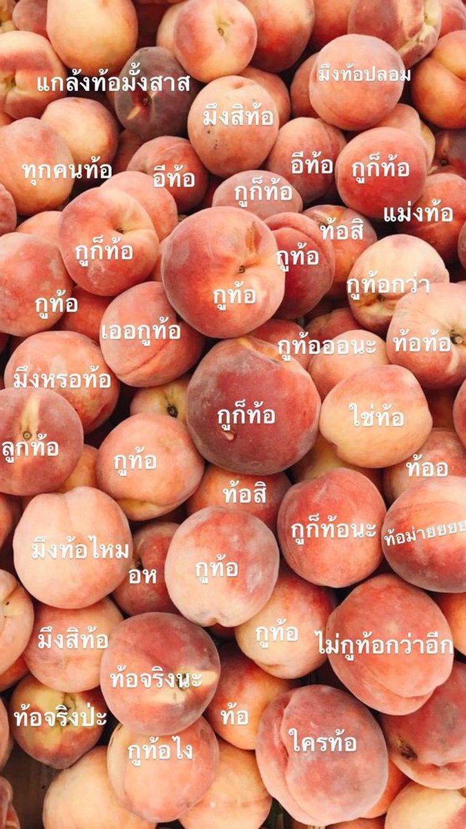 sfkkfs_'s tweet photo. รีวิวสภาพกูในทุกวัน : https://t.co/C7lUuP2a3z