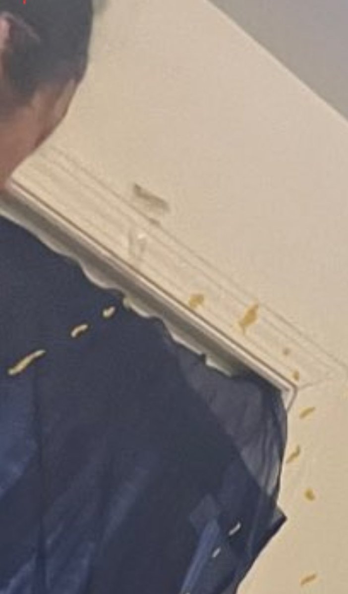 Rings of Saturn tweet media